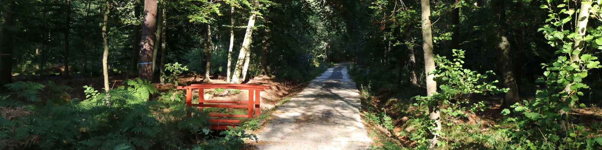 Rueckweg_Parkplatz_2 Rueckweg_Parkplatz_2
